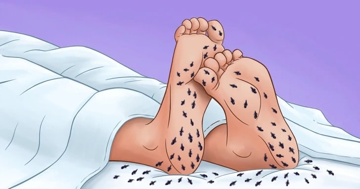 Jambes agitées la nuit