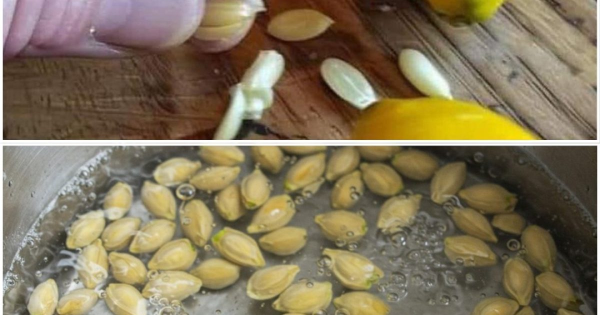 10 façons astucieuses de réutiliser les pépins de citron à la maison