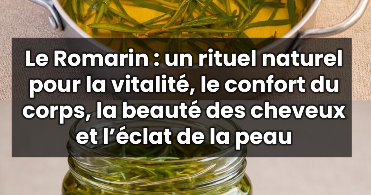 10 raisons de boire quotidiennement une infusion de romarin (un remède ancestral aux vertus thérapeutiques)