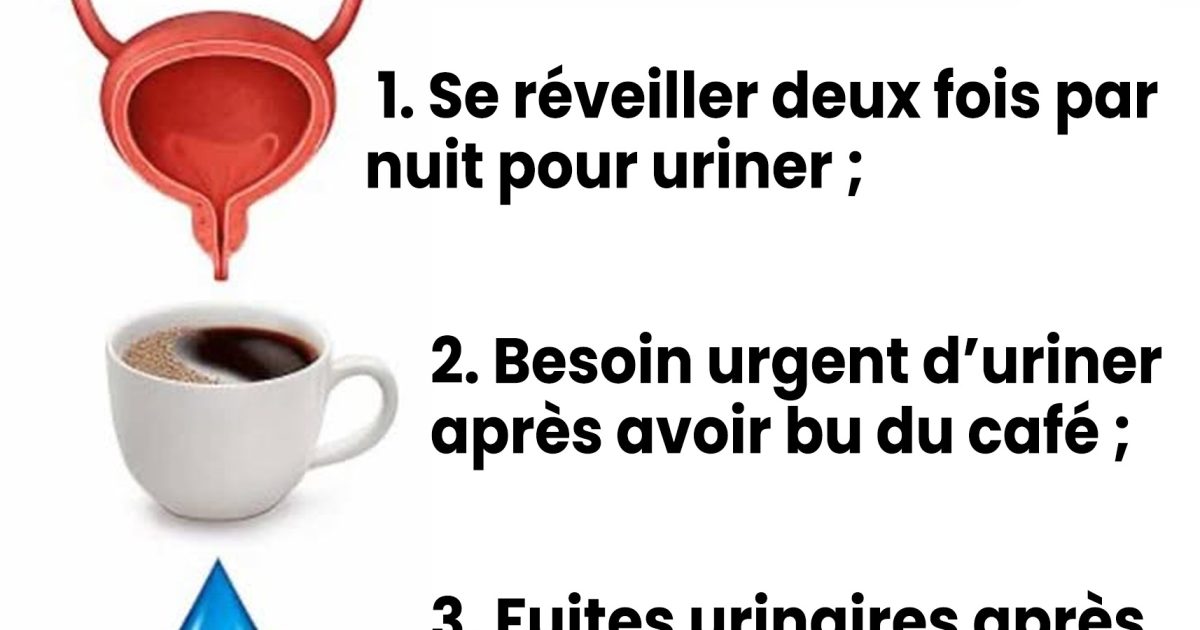 10 signes majeurs d’une vessie en mauvaise santé