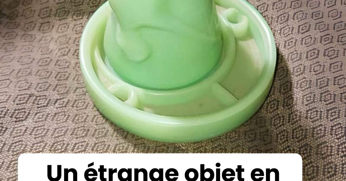 12 objets au rôle caché que tout le monde ne connaît pas