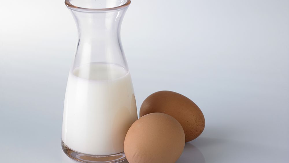 Œufs et lait