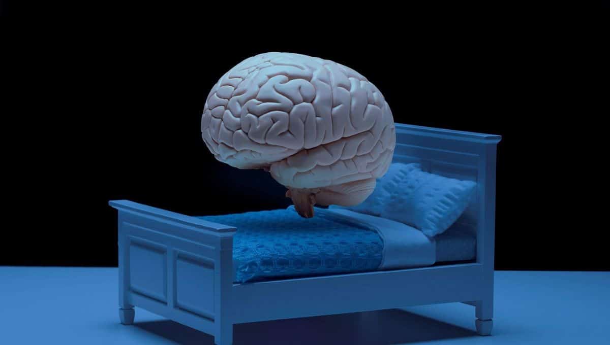 Cette chute soudaine qui vous réveille en pleine nuit : que se passe-t-il vraiment dans votre cerveau ?