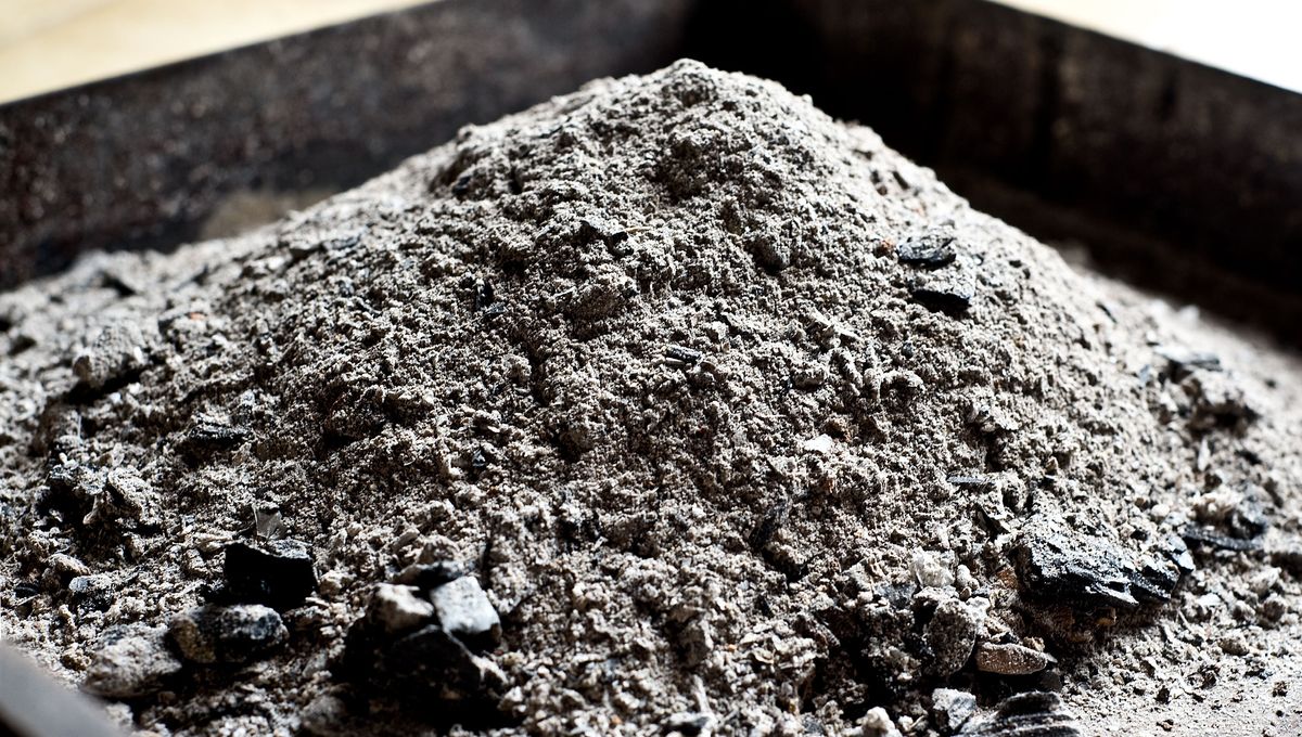 Cendres de bois pour fertiliser le jardin