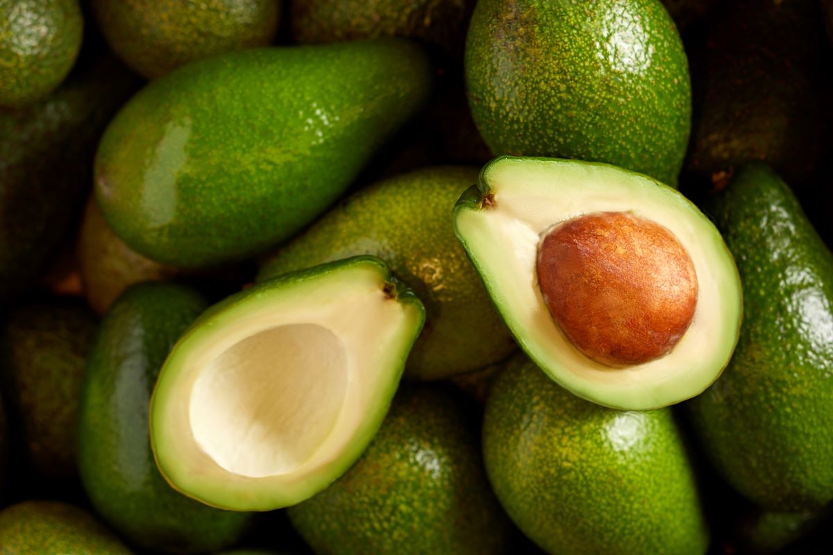 Pourquoi l’avocat mérite sa place dans votre assiette (et ce qu’il faut savoir sur son noyau)
