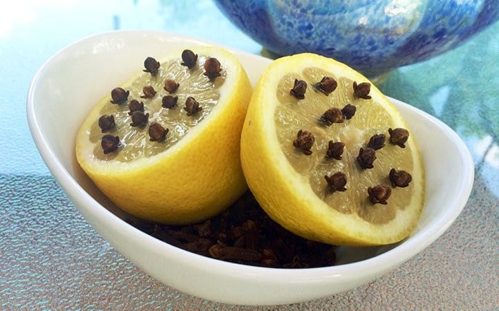 Répulsif citron et clous de girofle