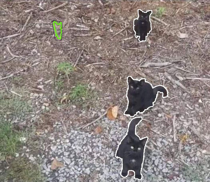 Le défi visuel du jour : saurez-vous débusquer le chat invisible sur cette photo ?