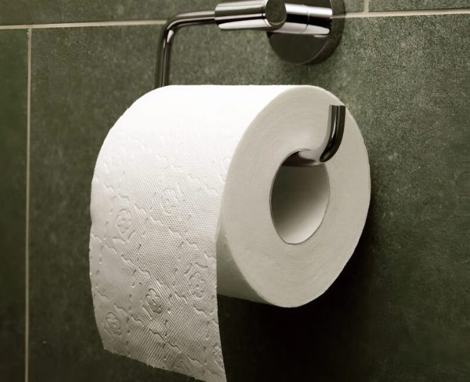 Une découverte surprenante dans un rouleau de papier toilette : ces petites boules vertes ont une explication étonnante