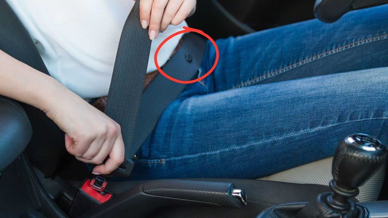 Ce bouton discret sur votre ceinture de sécurité cache une fonction bien plus utile que vous ne l’imaginez