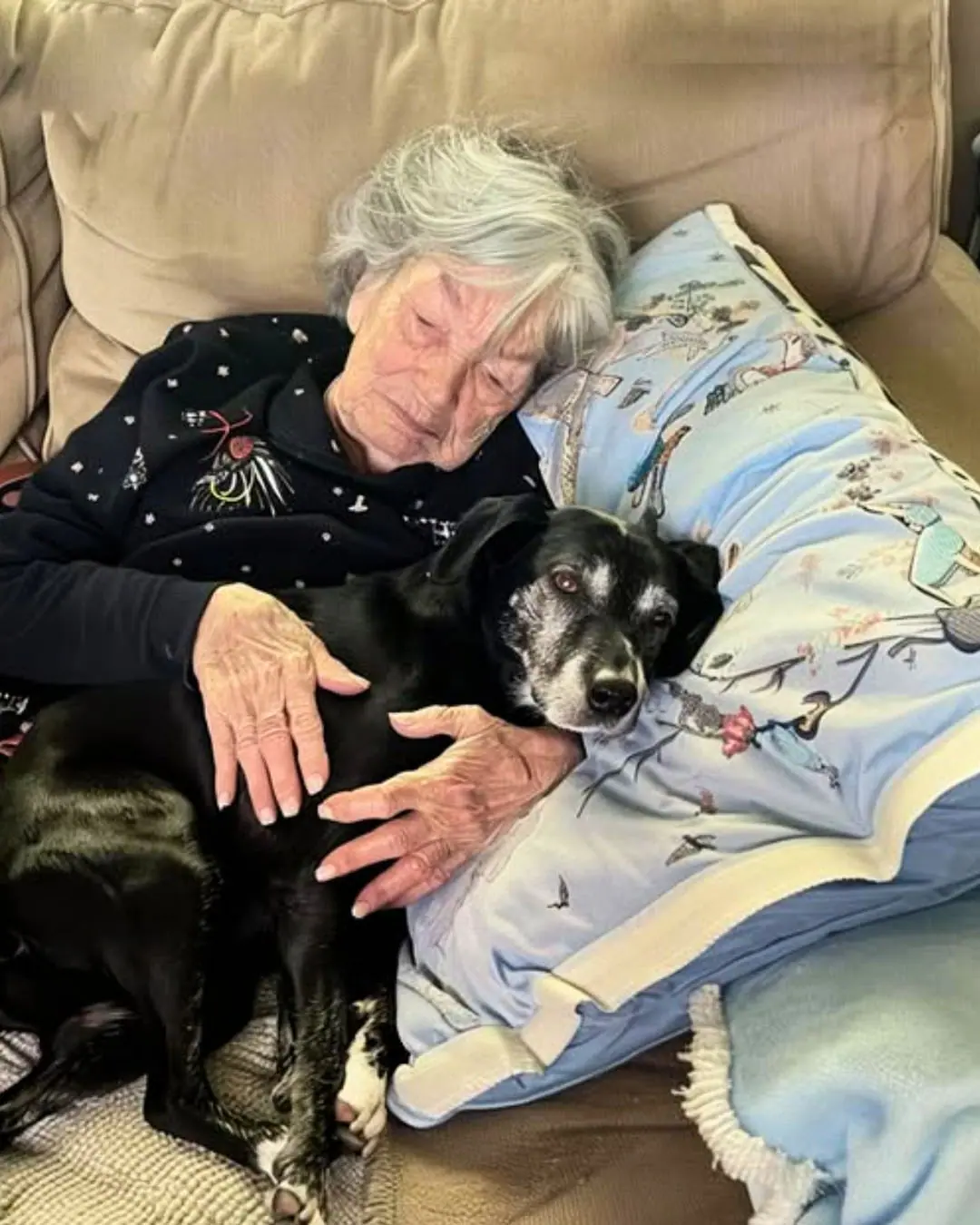 Quand j’ai recueilli le chien de ma grand-mère, ma famille m’a prise pour une naïve – ce geste m’a offert un héritage bien plus précieux que l’argent