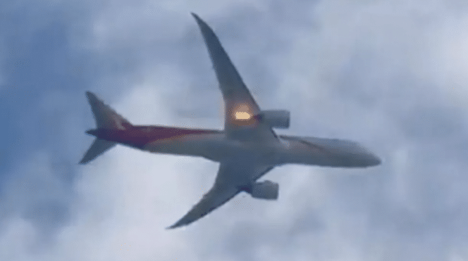 Illustration d'une collision avion-oiseau