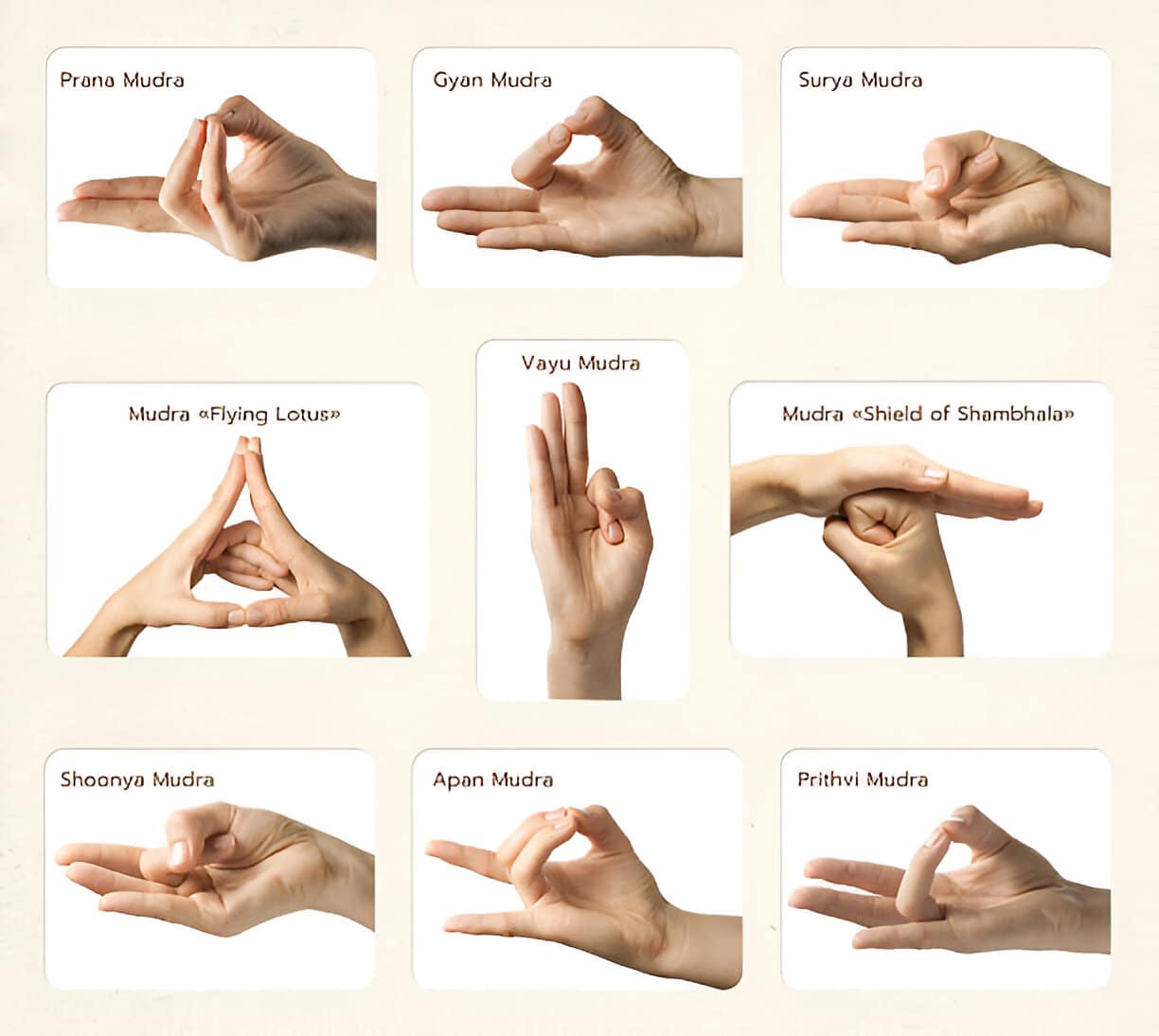 Illustration de mains formant un mudra