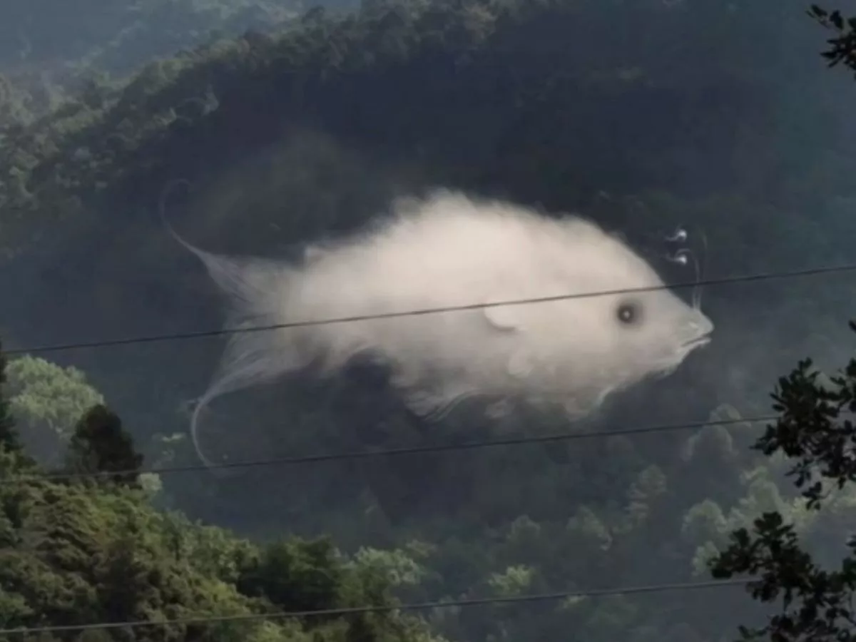 Nuage ou poisson ? Ce que votre première perception révèle de votre personnalité