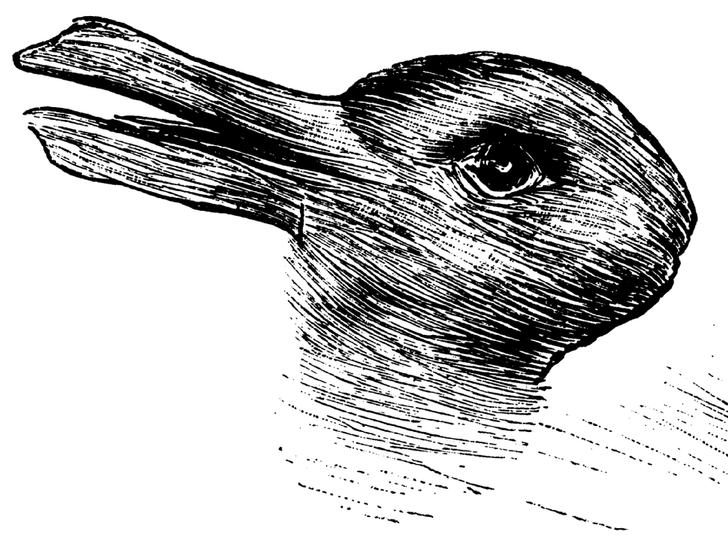 Le premier animal que vous distinguez dans cette image en dit long sur votre façon de penser