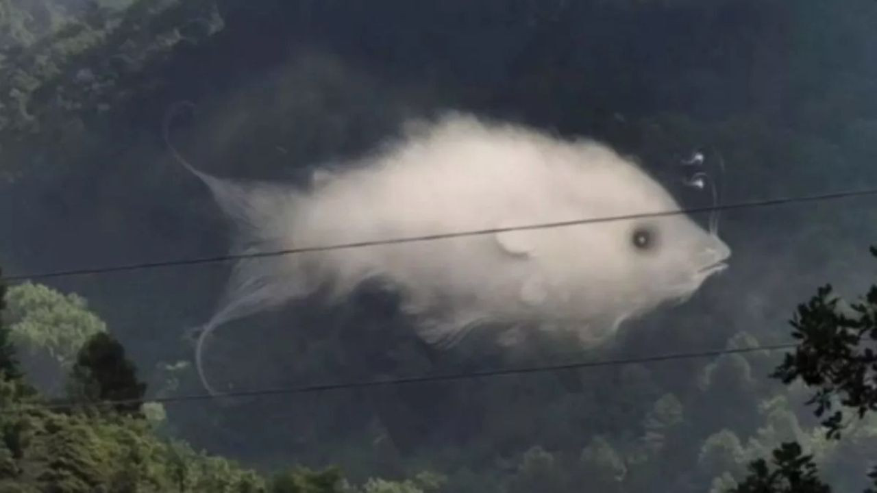 Un simple coup d’œil sur cette image révèle votre personnalité cachée : êtes-vous plutôt nuage ou poisson ?