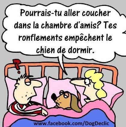Riez sans filtre : 15 clichés hilarants qui désarment à coup sûr