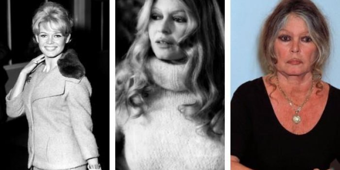 Elle n’a jamais eu recours à la chirurgie esthétique : cette photo de Brigitte Bardot, sans aucun filtre, va vous couper le souffle