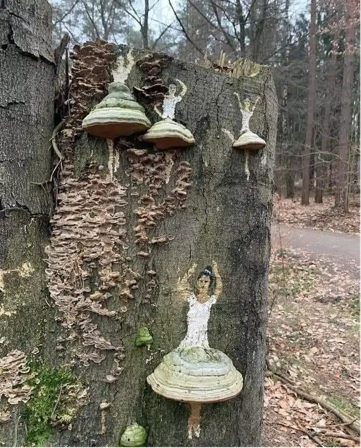 Champignon sculpté