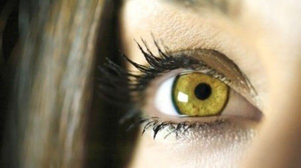 Votre regard en dit long sur vous : ce que la teinte de vos iris révèle vraiment