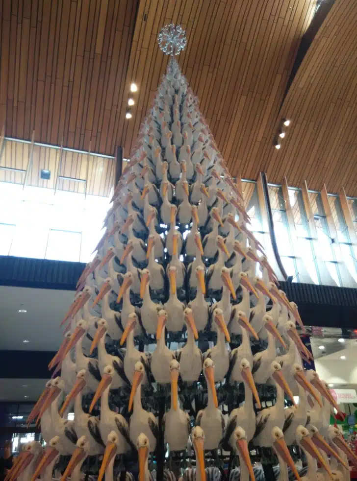 Sapin de pélicans