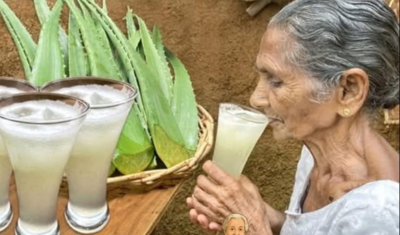 Verre d'eau d'aloe vera rafraîchissant