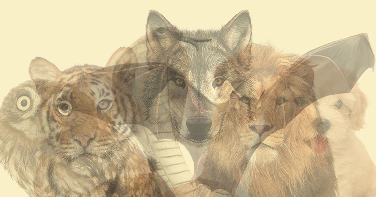 Ce que votre premier regard sur cette illustration dit de votre caractère