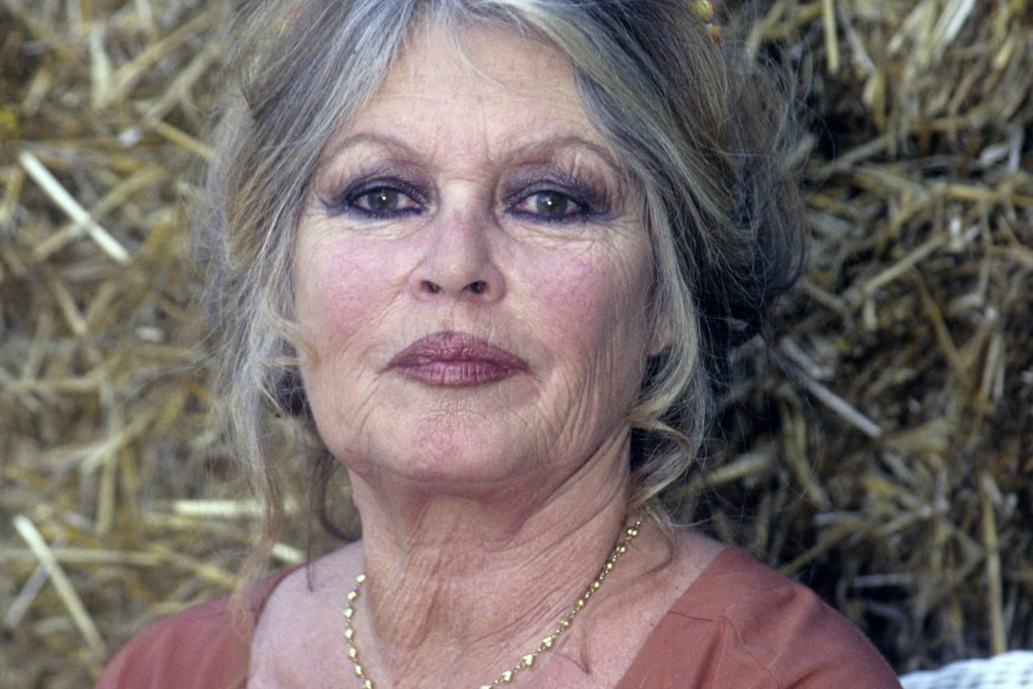 Loin des projecteurs : les confidences inattendues de Brigitte Bardot sur son fils unique
