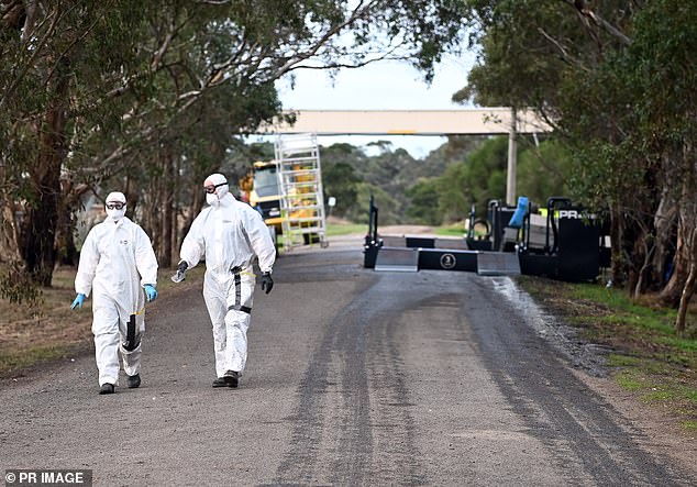 Grippe aviaire H5N9 : des spécialistes redoutent l’émergence d’un « super-virus » sous silence