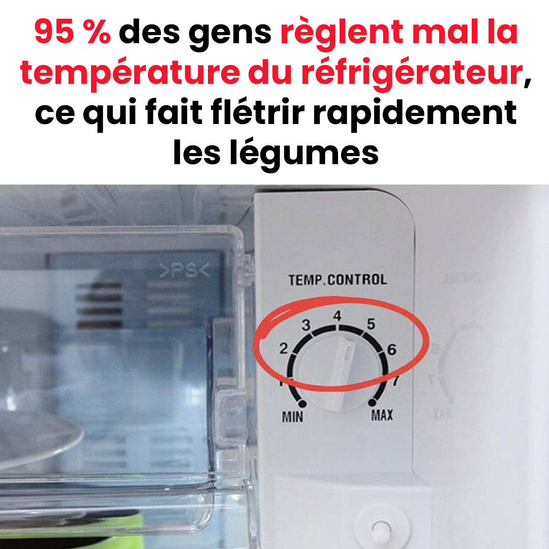 95 % des gens règlent mal leur frigo, résultat : légumes fanés trop vite !