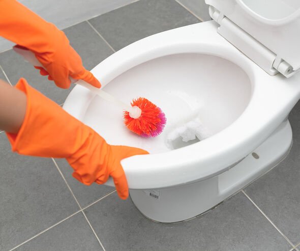 L’allié matinal qui métamorphose l’entretien de vos toilettes