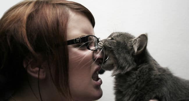 Morsures de chat : le message secret que votre félin tente de vous transmettre