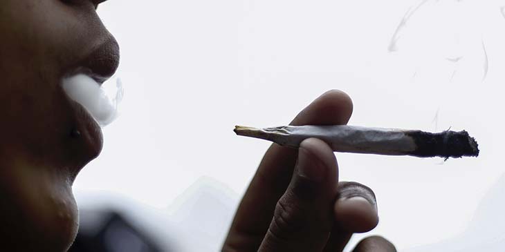 Cannabis après 30 ans recommandations à prendre en compte