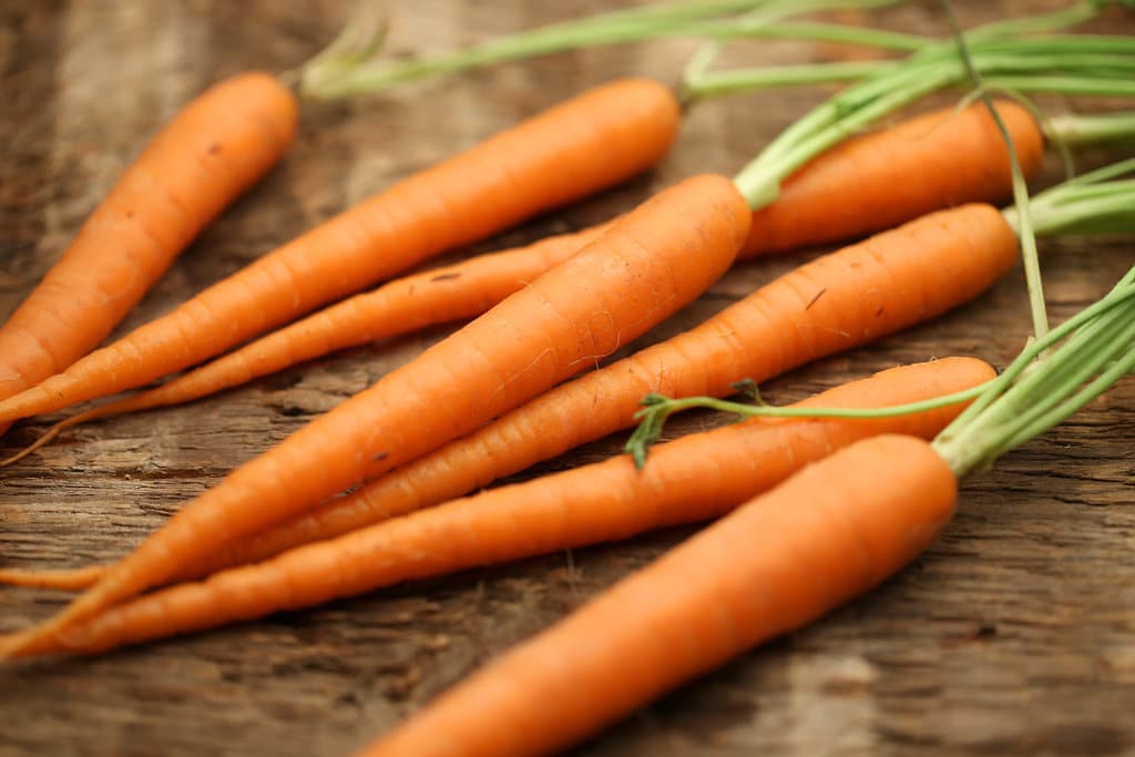 Carottes fraîches riches en bêta-carotène