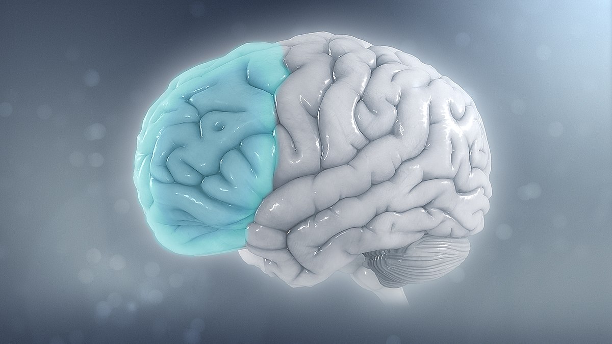 Ce que votre coup de cœur visuel dit de vous (sans que vous le sachiez)