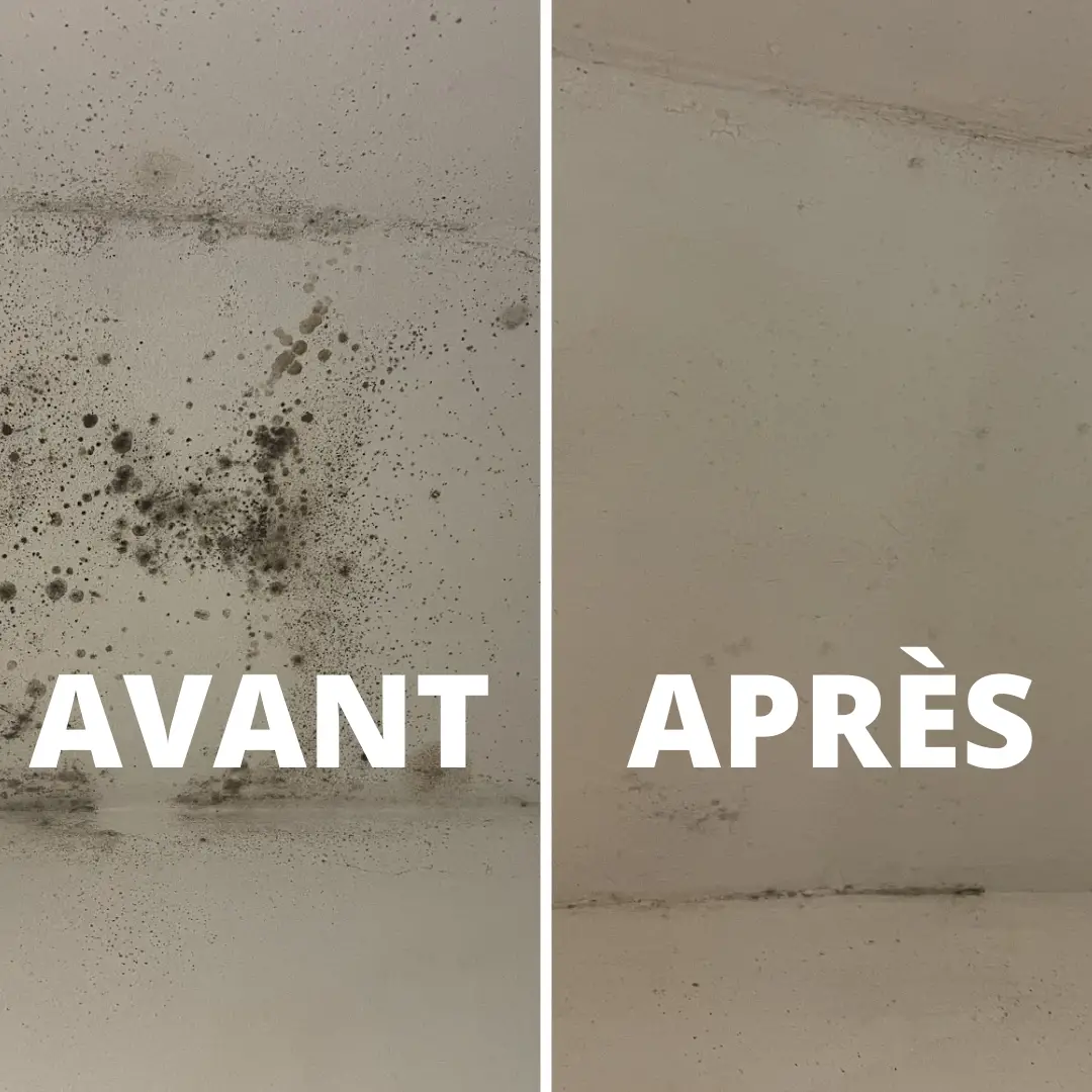 Deux produits du placard pour dire adieu aux taches noires sur vos murs