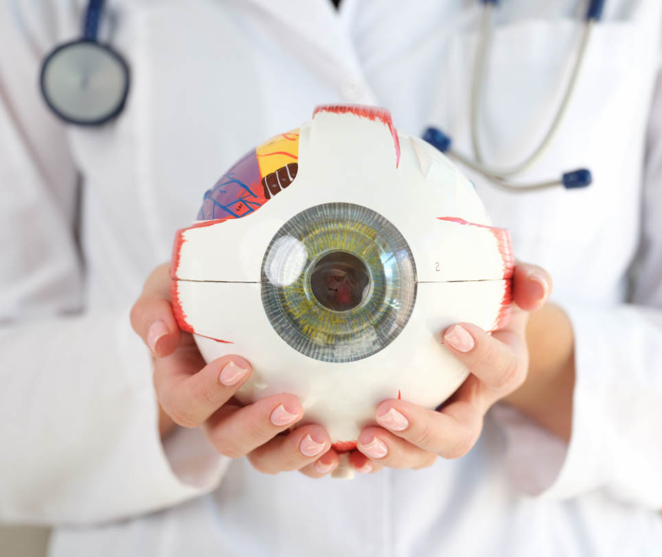 Ail : les bienfaits ne sont pas pour tout le monde – ces 4 profils doivent absolument l’éviter