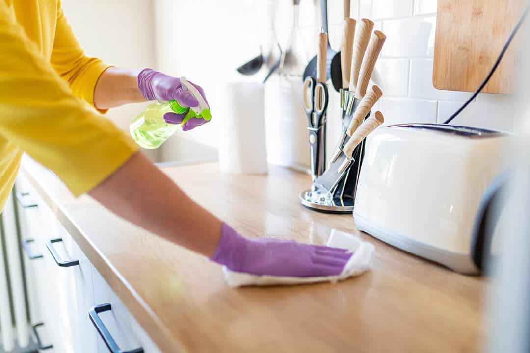 Dentifrice anti-nuisibles : la recette surprenante qui fait fuir rats, souris et insectes