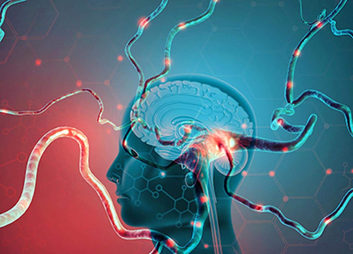 Ce test de vision va vous retourner le cerveau : un chien se cache dans cette image, et seuls les plus observateurs le trouvent