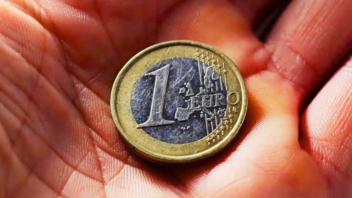 Pièce de 1 euro rare avec deux cygnes en vol