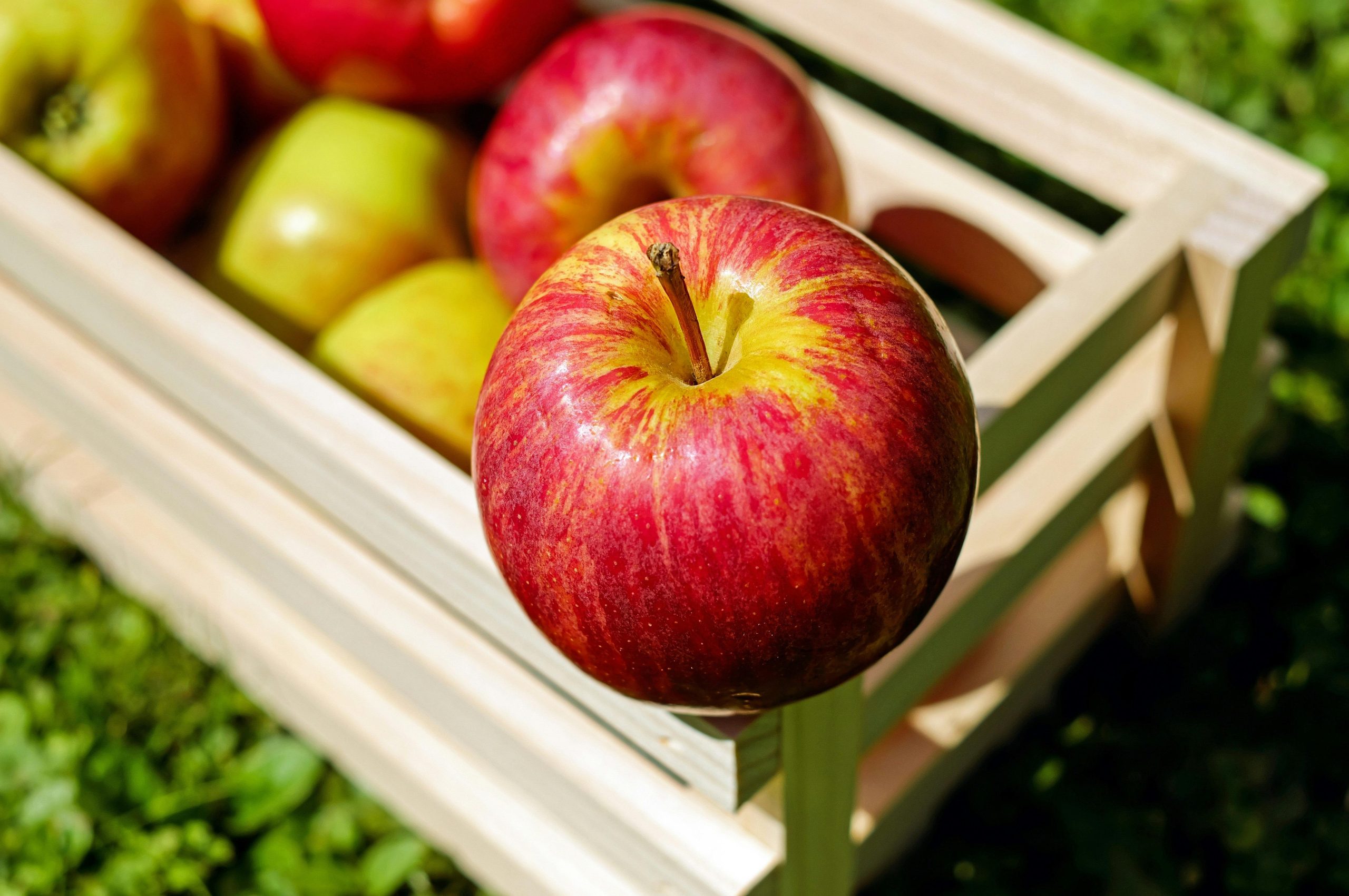 Pourquoi croquer une pomme chaque jour transforme votre santé en profondeur