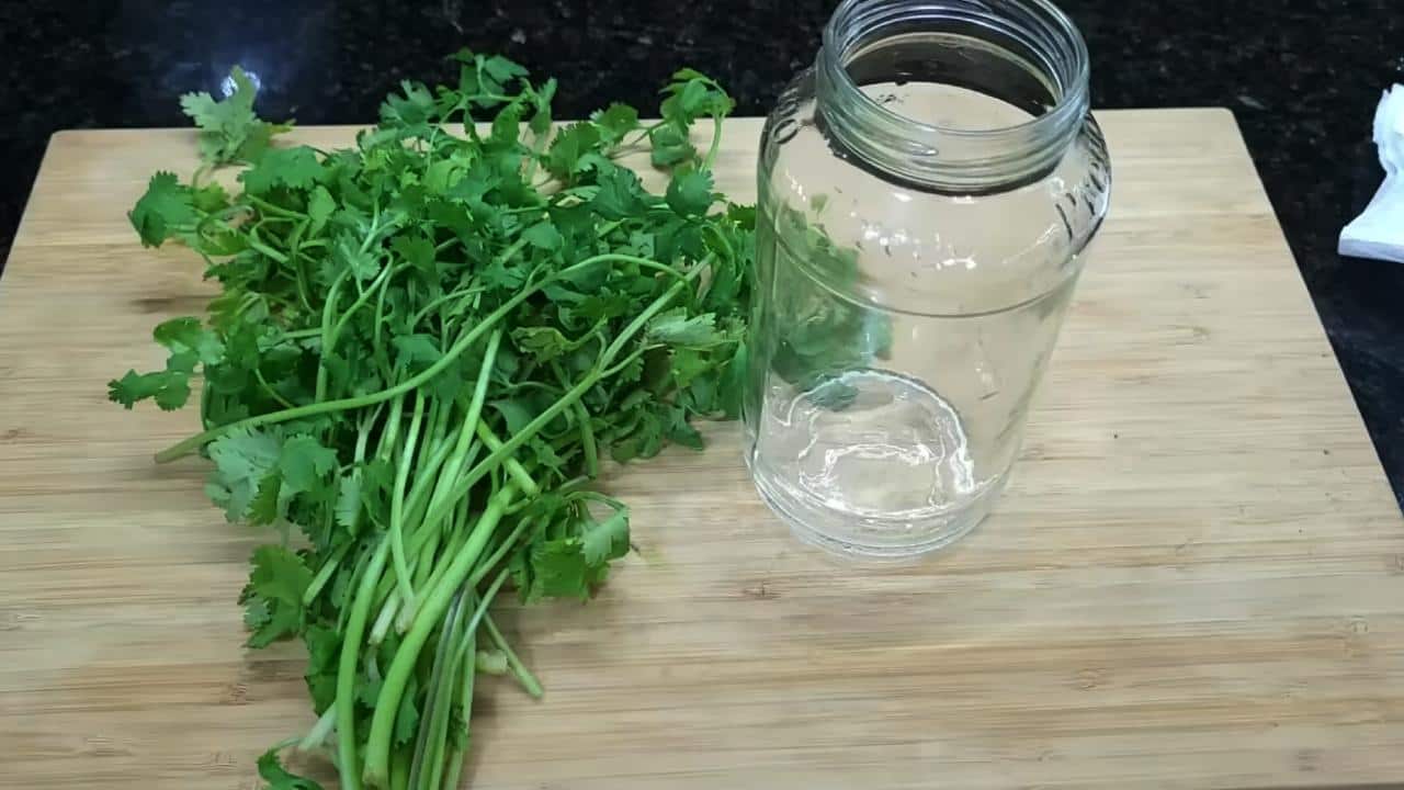 Garder son persil frais plus d’un an : l’astuce infaillible des grands chefs