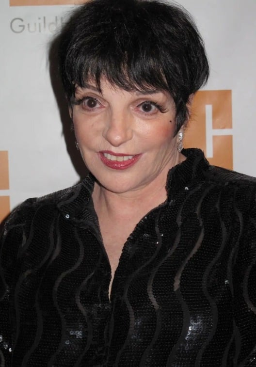 Liza Minnelli en spectacle, rayonnante