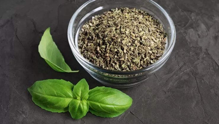 Fleurs de basilic séchées
