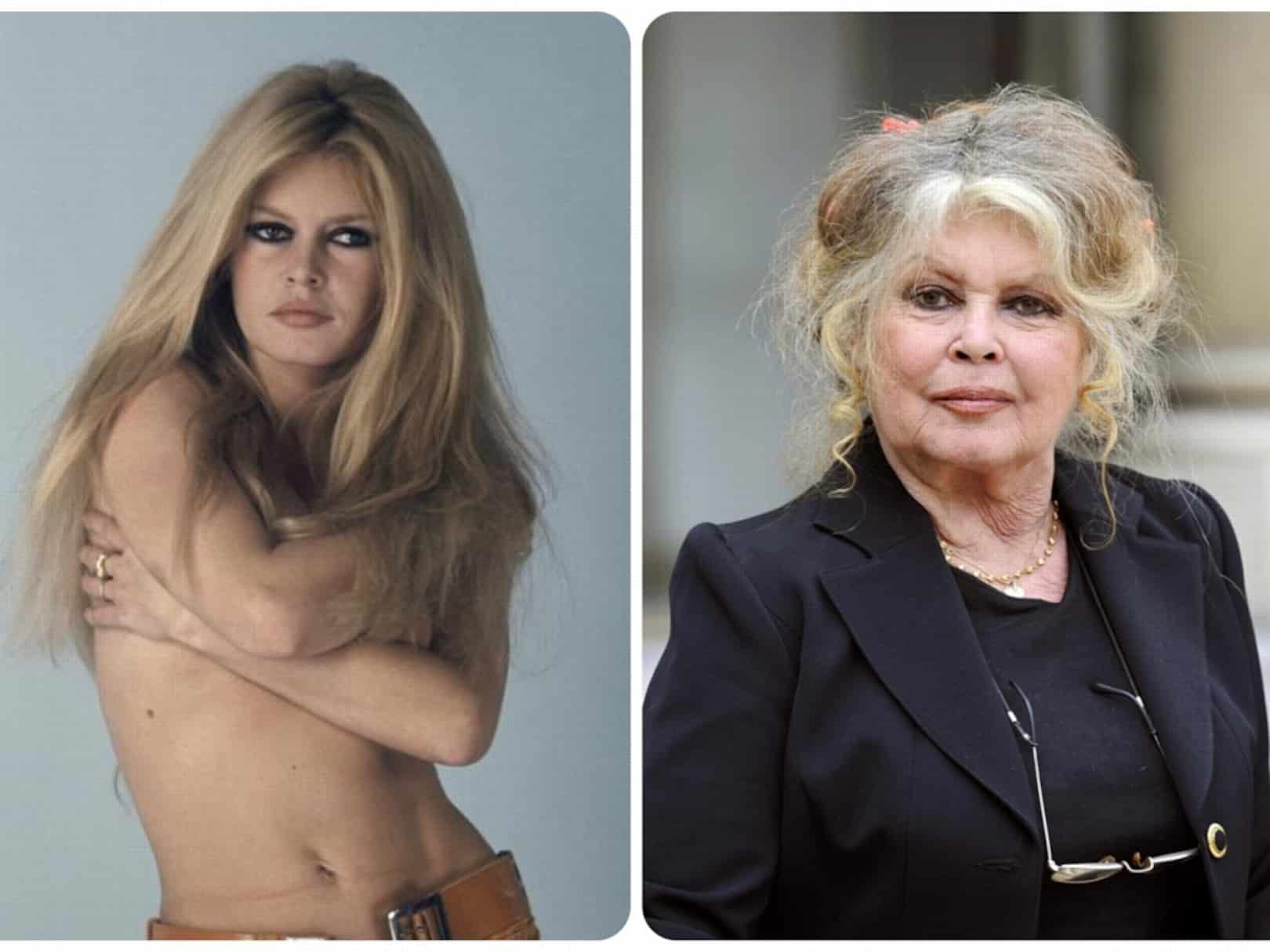 Elle n’a jamais eu recours à la chirurgie esthétique : cette photo de Brigitte Bardot, sans aucun filtre, va vous couper le souffle