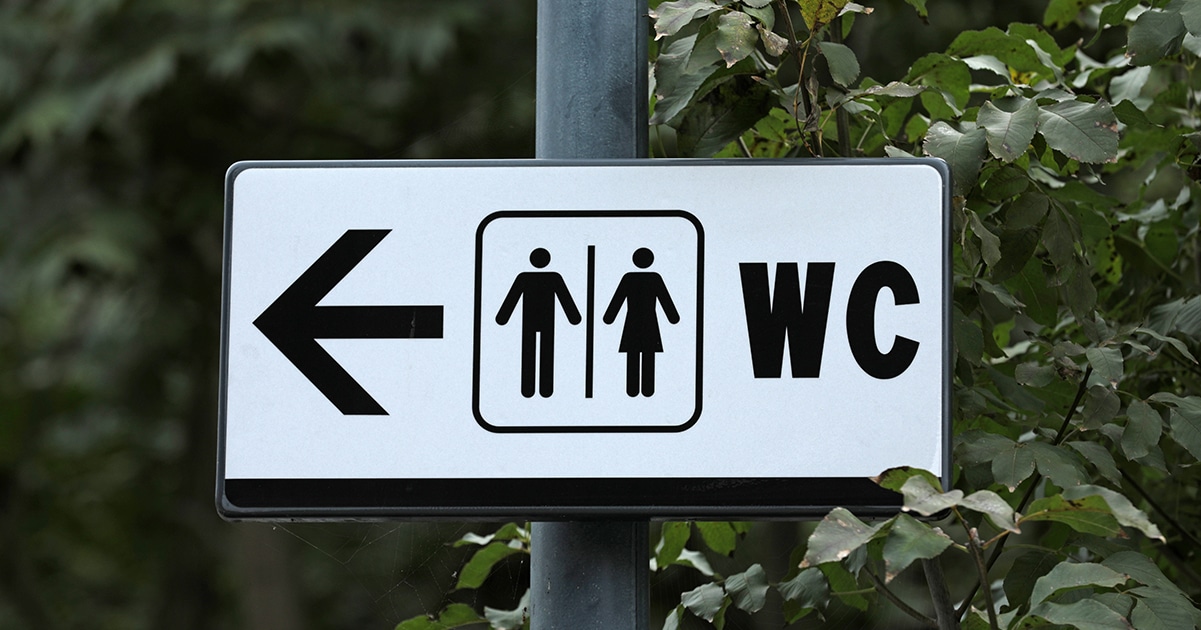 Panneau WC vintage
