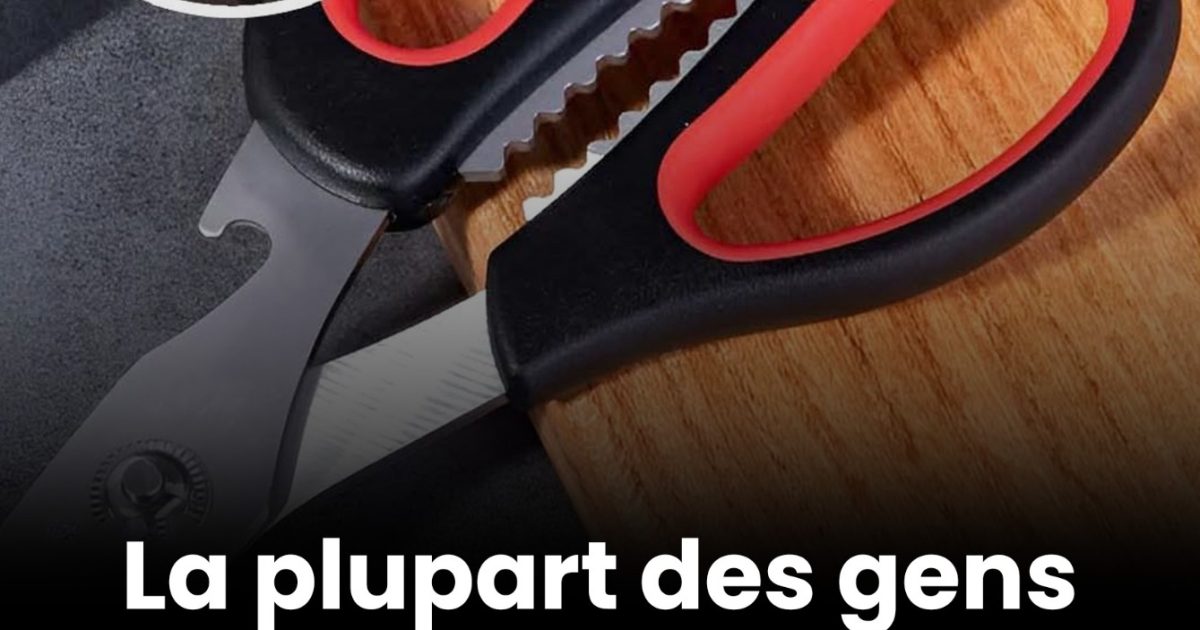 À quoi sert exactement la partie située au centre des ciseaux ?