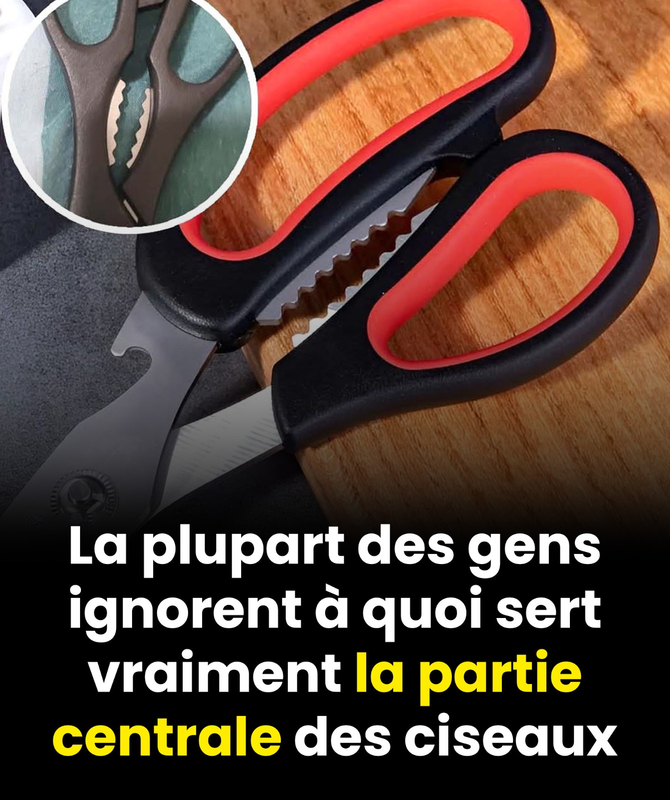 À quoi sert exactement la partie située au centre des ciseaux ?