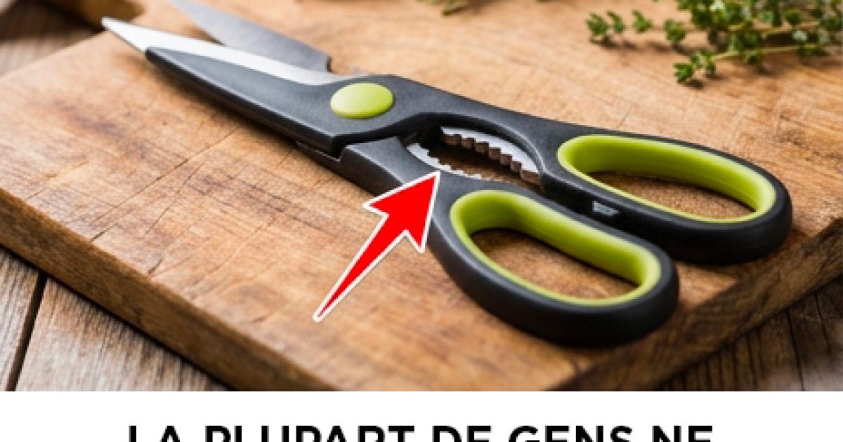 À quoi sert le tranchant dentelé des ciseaux ? Vous êtes-vous déjà posé la question ? La réponse n’est pas toujours évidente