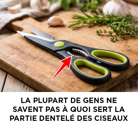 À quoi sert le tranchant dentelé des ciseaux ? Vous êtes-vous déjà posé la question ? La réponse n’est pas toujours évidente