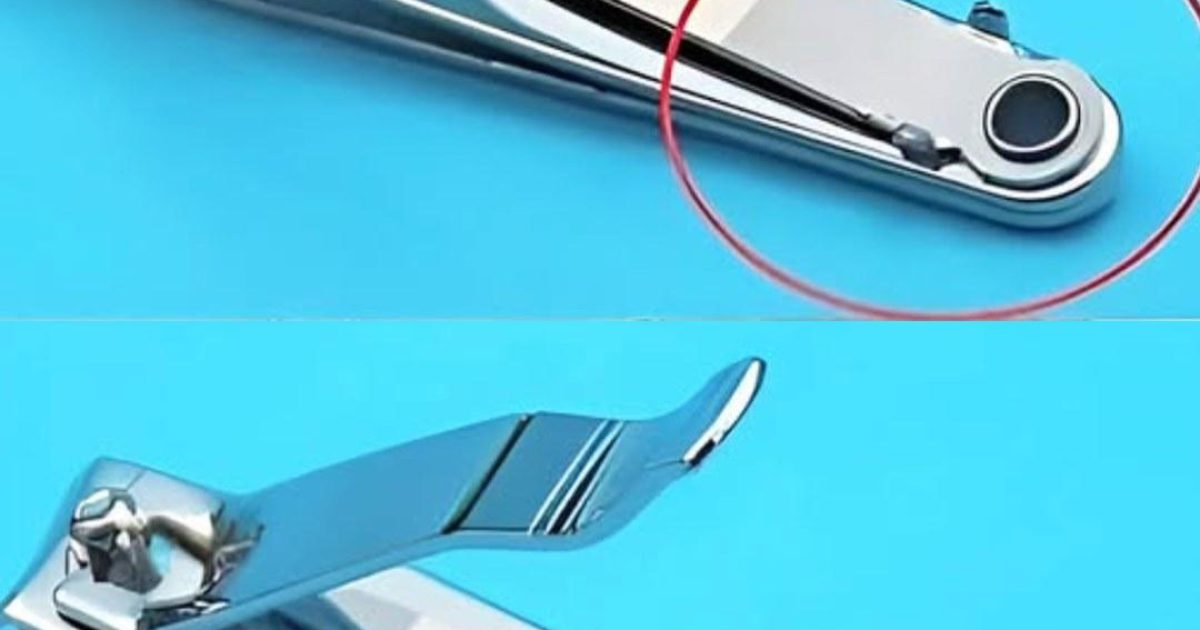 À quoi sert réellement le trou dans les coupe-ongles ? Voici ses utilisations et ses avantages